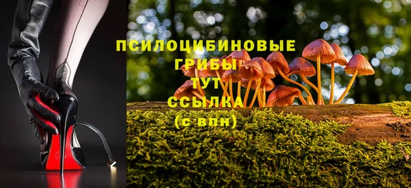 соль ск Струнино